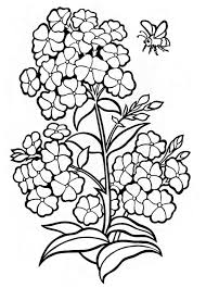 Pin On Fruits And Vegetables Coloring Pages