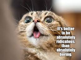 Image result for lolcats