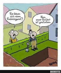 Sie Bauen Sich Einen Swimmingpool Lustige Bilder Spruche Witze Echt Lustig Lustige Bilder Lustig Witze