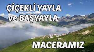 July 16, 2019 · rize, turkey ·. Cicekli Yayla Ve Basyayla Maceramiz Camlihemsin Rize Turkey Youtube