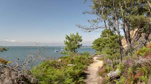 It looks lovely and the red squirrels really swung it for me! Brownsea Island Poole Book Tickets Tours Getyourguide