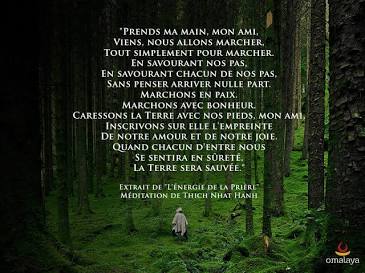 L'importance du retour à la nature et de l'ancrage réel loin des illusions, généré par IA