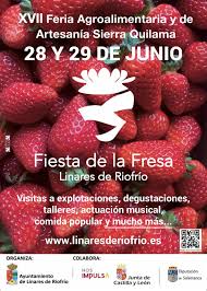 Ayuntamiento de Linares de Riofrío