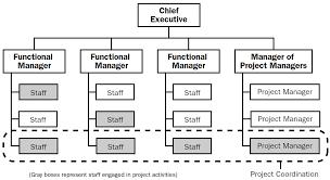 The 4 Types Of Project Organizational Structure