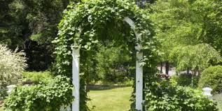 Why choose natural pest control? Cornell Cooperative Extension Growing Hops At Home