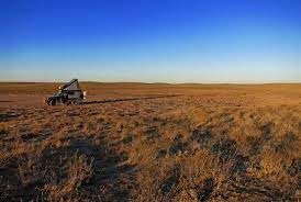 So tummeln sich geier, kraniche, reiher, aber auch enten, gänse und wilde hühner in den wassergebieten. Kasachische Steppe Kasachstan Terra Incognita