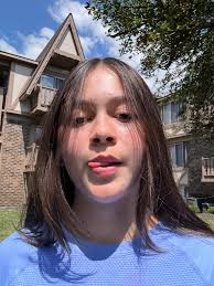 I'm Alyssa and here's my CV ☺️ Age : 2006 Relationship status : single  Child : no Country : USA 🇺🇸 Origin : American Looking for boyfriend : yes