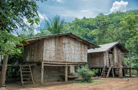Explore a full list of accommodations and find the perfect place for you. 232 Casa De Bambu En La Selva Fotos Libres De Derechos Y Gratuitas De Dreamstime