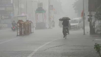 gujarat rain forecast next 7 days ndrf deployed | Gujarat Weather: આજે  રાજ્યના 14 જિલ્લામાં ભારે વરસાદની આગાહી, NDRFની 3 ટીમ તૈનાત!