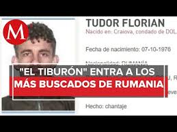 La fiscalía general de la república (fgr) informó que la detención de florian n, alias el tiburón, se llevó a cabo en cumplimiento a una orden de detención con fines de extradición. Florian Tudor News Archive United States Who Is Popular Today