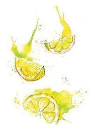 Giclee Feine Kunstdruck Zitrone Scheiben Aquarell Malerei Amyholliday Wasserfarben Illustration Aquarell Aquarell Fruchte