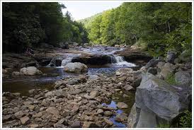 Fast booking & free cancellations. Dolly Sods Wilderness Virginia Trail Guide