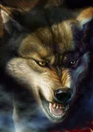 Abstract animals anime art cars celebreties city comics flowers games girls holidays. Black Wolf And White Wolf Anime Novocom Top