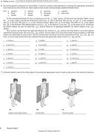 Study flashcards on the language of anatomy at cram.com. Human Anatomy Physiology Laboratory Manual Pdf Free Download