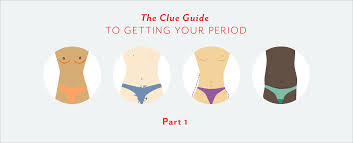 When it comes to armpit hair growth rate, it is not any different from that of the body. Part 1 The Clue Guide To Getting Your Period By Anna Druet Clued In Medium