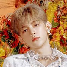 DIEN(KJRGL)'s Profile, Popularity Ranking & Latest Trends【KPOP JUICE!!】