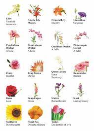 With our guide to the language of flowers you can add extra meaning to the next bouquet you send or the flowers you choose for your next special occasion. Learn English Vocabulary Through Pictures Flowers And Plants Eslbuzz Learning English Different Types Of Flowers Flower Meanings Types Of Flowers