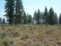 The cabin lake guard station is a forest service compound consisting of six simple rustic buildings located in the deschutes national forest. Cabin Lake Oregon