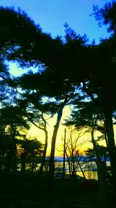 Gambar dan lukisan pemandangan alam yang diposkan berikut ini adalah usaha kami untuk menyajikan semangat apresiasi terhadap alam ciptaan tuhan yang dituangkan melalui sebuah karya. Pemandangan Malam Pantai Wallpapersc Android Pemandangan Wallpaper Android Pantai