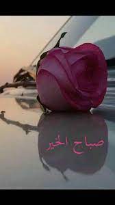 pin by شما المرزوقي on خلفيات الصباح morning wish all is well greetings