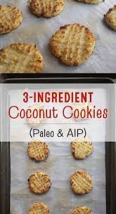 3 Ingredient Coconut Cookies Paleo Grain Free Sugar Free Gluten Free Dairy Free Egg Free Aip Too Dairy Free Recipes Paleo Cookies Recipes