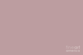 The right shade of pink can make a space feel sophisticated and feminine or youthful and fresh, but no matter what feeling you hope to evoke, choosing the right shade of pink paint can be difficult. Sherwin Williams Trending Colors Of 2019 Orchid Soft Muted Pink Sw 0071 Solid Color Digital Art By Melissa Fague