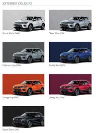 Image result for Dandy Gray 1993 SsangYong