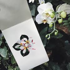 14 4k Likes 31 Comments Sasha Unisex Sashaunisex On Instagram Watercolor Sashaunisex Plumeria Frangipani Sasha Unisex Instagram Plumeria