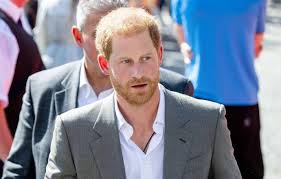 Prince Harry, Prince William Wont Be Able To Reconcile After Memoir