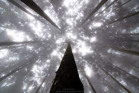 dsc 0203 photo sharing photo flickr