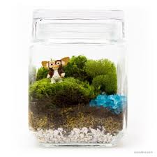 Terrarium Gizmo Terrarium Animal Crossing Inspiration