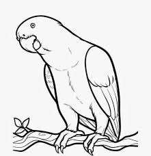 Cartoon Bird Drawing For Kids With Colour Drawing For Kids To Colour Bird K5 Worksheets Animal Coloring Pages Parrot Drawing Colorful Drawings