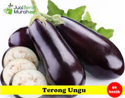 Jenis sayuran yang memiliki nama latin solanum melongena adalah. Benih Terong Ungu Maica Leaf Jualbenihmurah Com