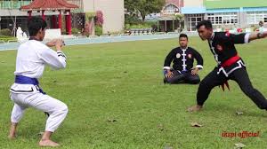 Berbagai informasi lainnya akan ditampilkan di website ini berkenaan mengenai perguruan seni ilmu beladiri kung fu iks.pi. Pesilat Ikspi Kera Sakti Full Di Jl Malioboro By M A Kh Channel