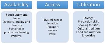 The fact that a place is able to produce or obtain enough food to feed its population: Communal Gardens Ground Food Insecurity Sarah Aquilina