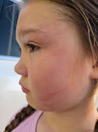 Adopt don't shop, adopt rescued dogs