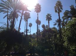 Yves Saint Laurent Garden Marrakech Morrocco Marrakech Garden Morocco