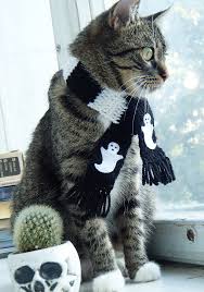 Black And White Striped Cat Halloween Scarf For A Cat Black And White Striped Scarf For A Cat Crochet Cat Scarf