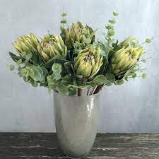 Maybe you would like to learn more about one of these? Artificial Green King Protea Flower Amaranthine Blooms Uk