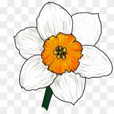 They are bright, fragrant and allow plants to thrive. Flower Drawing Png Png Transparent For Free Download Pngfind