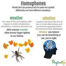 Homophones Homophones Words Words Meant To Be