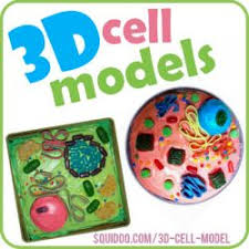We did not find results for: 3d Plant Animal Cell Models Cell Model Plant And Animal Cells Animal Cells Model
