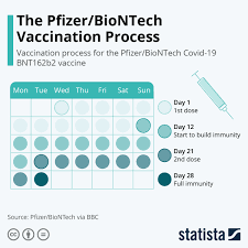 Chart 28 Days Later The Pfizer Biontech Vaccination Process Statista