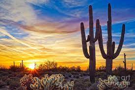 Arizona sunset picture arizona is renowned for its spectacular sunsets and sunrises. Arizona Desert Sunset Photograph By Matt Suess