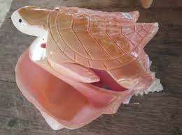 You can help hades wiki by expanding it. Breeze Artist Spotlight Ras T Conch Shell Carver Issuu