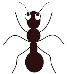 Ant Clipart Free Images Clipartix Clip Art Cute Drawings Pet Rocks