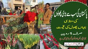 We did not find results for: Biggest Flower Market Of Pakistan Cheap Home Decor Items At Wholesale Allrounder Vlogs Youtube