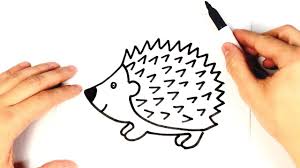 How To Draw A Hedgehog For Kids Hedgehog Drawing Lesson Hedgehog Drawing Flower Drawing Roses Drawing