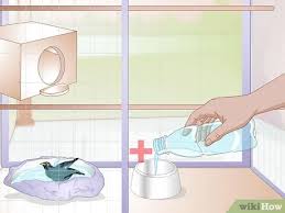 The only exotic pet clinic in the pacific northwest with 2 veterinarians board certified in their area of exotic animal expertise. How To Raise A Mynah Bird With Pictures Wikihow