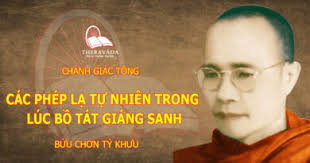 Chánh Giác Tông
